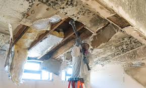 Best Residential Mold Inspection & Testing  in Goodview, MN